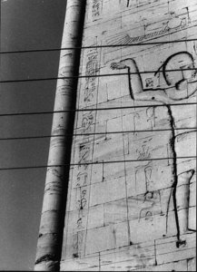 Photo »2552« of the Edfu-Project.