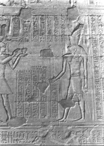 Photo »2793« aus dem Edfu-Projekt.