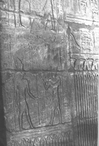 Photo »3166« aus dem Edfu-Projekt.