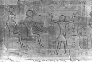 Photo »342« aus dem Edfu-Projekt.