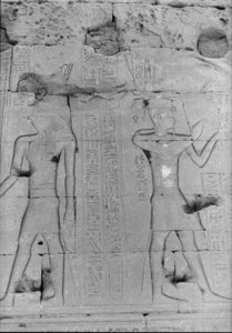 Photo »737« of the Edfu-Project.
