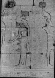 Photo »741« of the Edfu-Project.