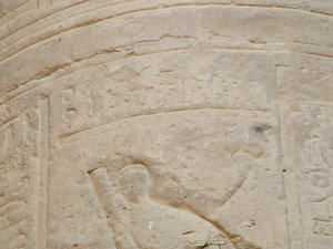 Photo »D05_6963« of the Edfu-Project.