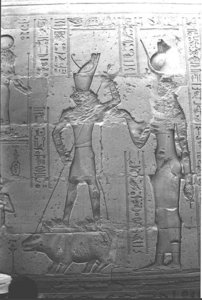 Photo »1369« aus dem Edfu-Projekt.