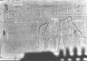 Photo »2192« aus dem Edfu-Projekt.