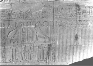 Photo »2193« aus dem Edfu-Projekt.