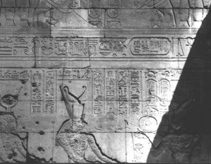 Photo »3543« aus dem Edfu-Projekt.