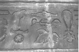 Photo »3863« aus dem Edfu-Projekt.