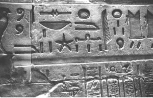 Photo »1182« aus dem Edfu-Projekt.