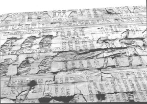 Photo »1481« aus dem Edfu-Projekt.