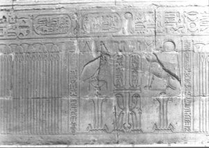 Photo »2198« aus dem Edfu-Projekt.