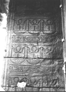 Photo »3442« aus dem Edfu-Projekt.