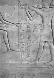 Photo »4339« of the Edfu-Project.