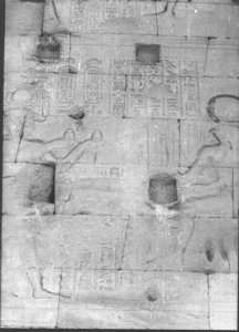 Photo »917« aus dem Edfu-Projekt.