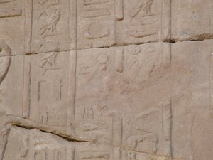 Photo »D05_4058« of the Edfu-Project.