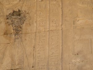 Photo »D05_4794« of the Edfu-Project.