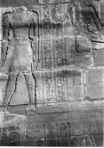 Photo »4178« aus dem Edfu-Projekt.