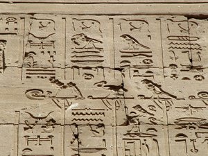 Photo »D05_0888« aus dem Edfu-Projekt.