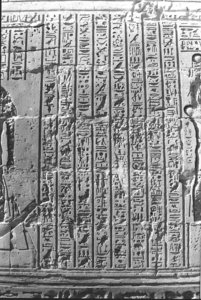 Photo »1356« aus dem Edfu-Projekt.