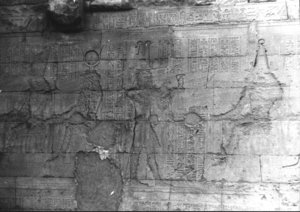 Photo »2692« aus dem Edfu-Projekt.