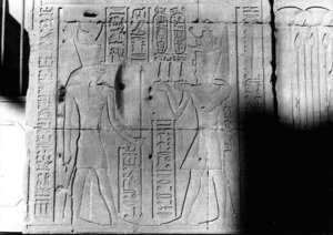Photo »2710« aus dem Edfu-Projekt.