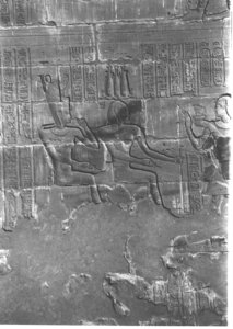 Photo »4048« aus dem Edfu-Projekt.