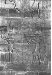 Photo »4114« aus dem Edfu-Projekt.