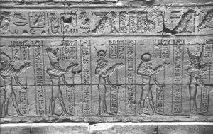 Photo »1081« aus dem Edfu-Projekt.