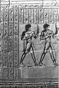 Photo »1363« aus dem Edfu-Projekt.