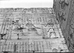 Photo »1483« aus dem Edfu-Projekt.