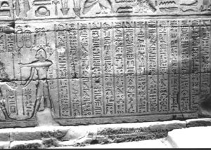 Photo »2937« aus dem Edfu-Projekt.