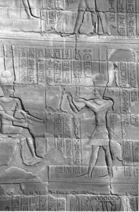 Photo »4082« aus dem Edfu-Projekt.