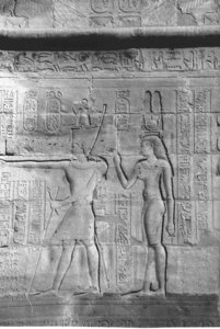 Photo »4428« aus dem Edfu-Projekt.