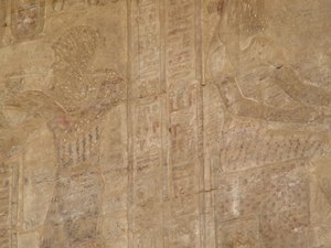 Photo »D05_5345« of the Edfu-Project.