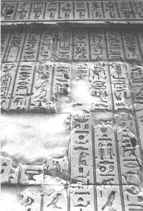 Photo »1320« aus dem Edfu-Projekt.