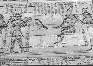 Photo »1461« aus dem Edfu-Projekt.