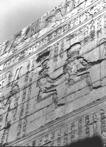 Photo »3552« aus dem Edfu-Projekt.