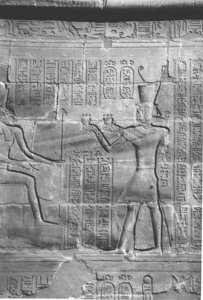 Photo »4273« aus dem Edfu-Projekt.