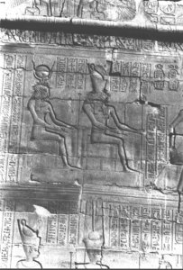 Photo »443« aus dem Edfu-Projekt.