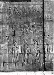 Photo »81« of the Edfu-Project.