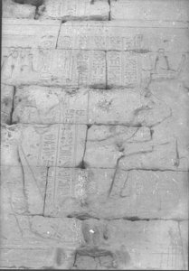 Photo »851« aus dem Edfu-Projekt.