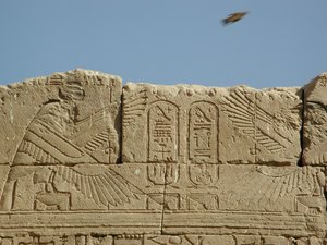 Photo »D03_1013« aus dem Edfu-Projekt.