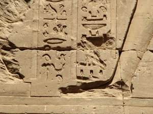 Photo »D05_1266« aus dem Edfu-Projekt.