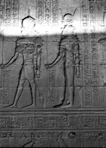 Photo »2228« aus dem Edfu-Projekt.
