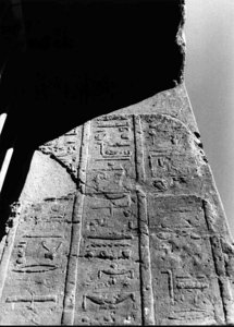 Photo »2771« aus dem Edfu-Projekt.