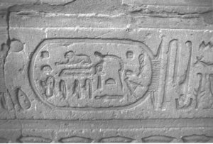 Photo »3811« aus dem Edfu-Projekt.