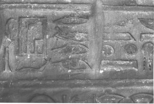 Photo »3890« aus dem Edfu-Projekt.