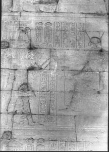 Photo »932« aus dem Edfu-Projekt.