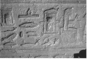 Photo »3778« aus dem Edfu-Projekt.
