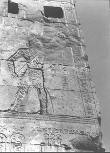 Photo »608« of the Edfu-Project.